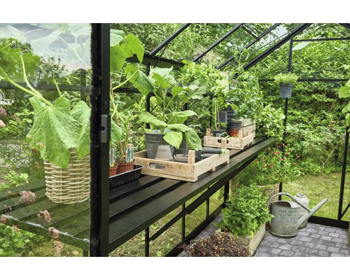 Aluminiumtisch Eden Greenhouses Integrierter Tisch 373x64 cm schwarz Gewächshaus mit Pflanzen und Gartenzubehör auf Regalen