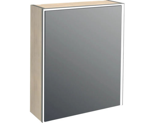 Armoire de toilette Jungborn QUATTRO SEDICI NOVE 60 x 20 x 70 cm tabacco 1 porte led IP 44