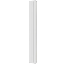 Porte pliante blanche