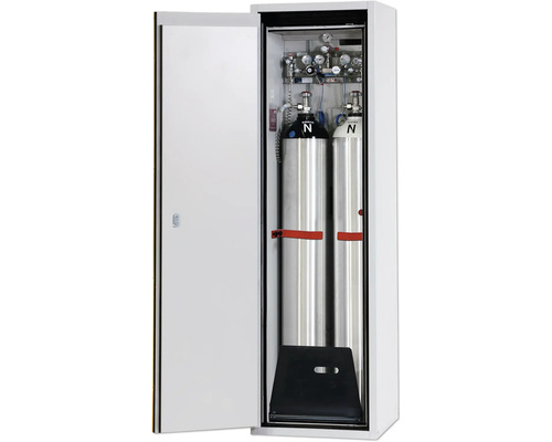 Armoire à bouteilles de gaz comprimé avec deux bouteilles de gaz à l''intérieur