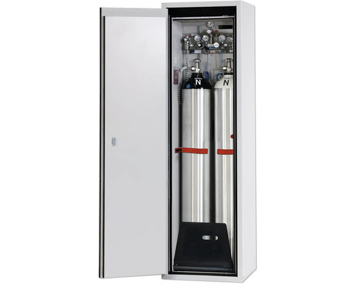 Armoire à bouteilles de gaz avec deux bouteilles de gaz comprimé et installation associée