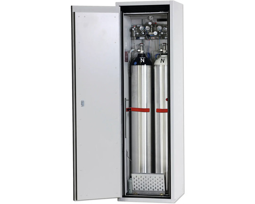 Armoire à bouteilles de gaz avec deux bouteilles de gaz et manomètres