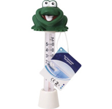 Thermomètre de piscine motif grenouille