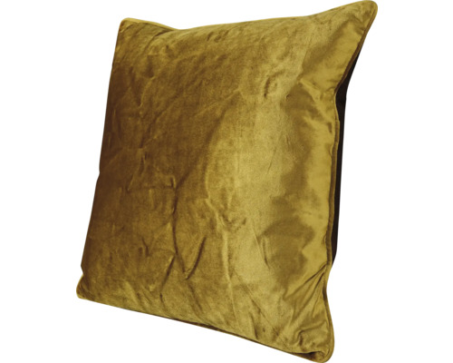Coussin décoratif en velours