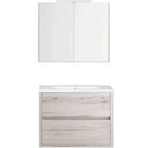 Ensemble de meubles de salle de bains avec meuble sous-lavabo, lavabo et armoire de toilette