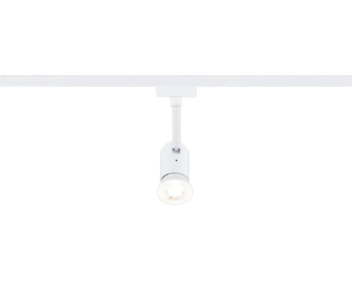 Schienenstrahler an Stromschiene