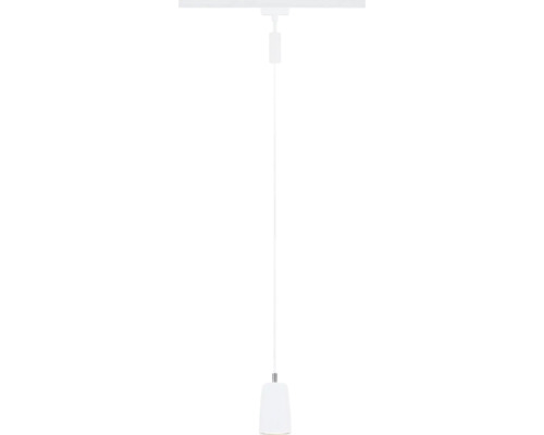 Pendelleuchte mit einem Lampenschirm