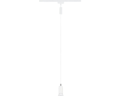 Pendelleuchte mit Fassung und Aufhängung