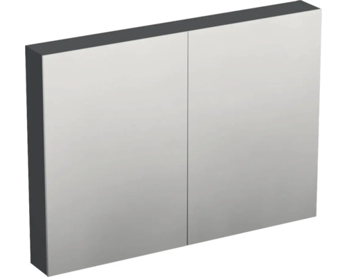 Armoire de toilette Jungborn TRENTA 100 x 14,4 x 72 cm anthracite mat 2 portes IP 44