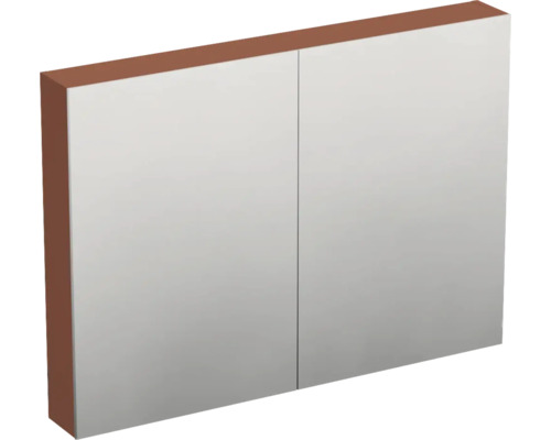 Armoire de toilette Jungborn TRENTA 100 x 14,4 x 72 cm cotto mat 2 portes IP 44