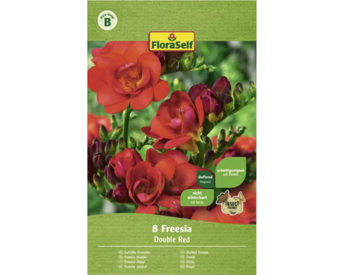 Bulbe FloraSelf® Freesia garni rouge, 10 pièces