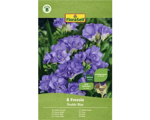 Blumenzwiebel FloraSelf gefüllte Freesie Double 'blue' 10 Stk