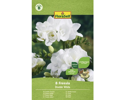 Blumenzwiebel FloraSelf gefüllte Freesien 8 Stk weiß