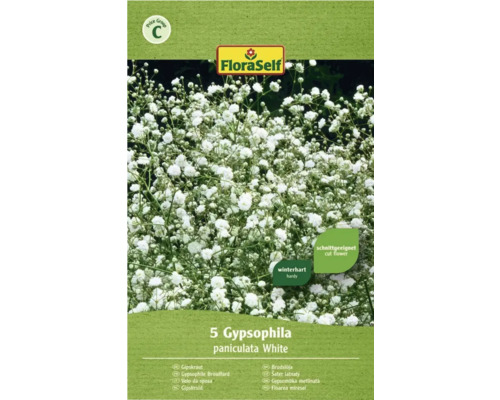 Bulbes de fleurs FloraSelf® Gypsophile blanc 5 unites