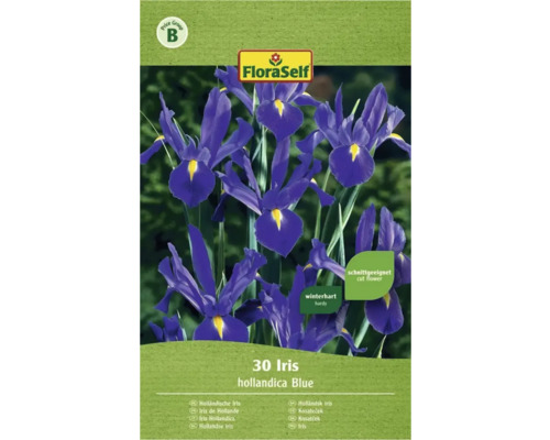 Bulbe FloraSelf® iris bleu, 30 pièces