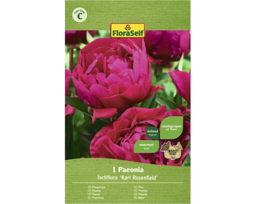 Bulbes de fleurs FloraSelf® Pivoine 'Karl Rosenfeld' rose, 1 bulbe