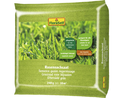 FloraSelf Rasennachsaat 240 Gramm für 10 Quadratmeter