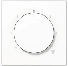 Thermostat mit Drehknopf zur Temperatureinstellung