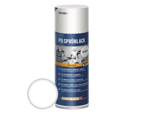 Peinture aérosol Maston RAL9010 blanc brillant 400 ml Bombe de peinture PU avec échantillon de peinture