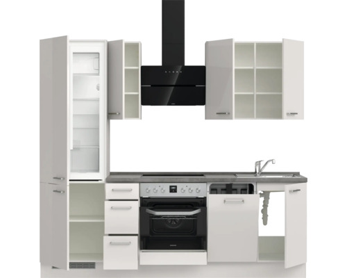 Cuisine équipée avec évier, cuisinière, réfrigérateur et hotte aspirante