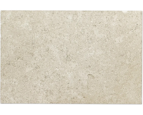 Carrelage sol et mur en pierre naturelle Tripoli 40 x 60 x 59,8 x 1,2 cm beige marron vieilli au tambour