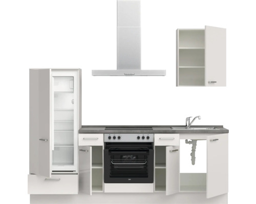 Küchenzeile mit Kühlschrank, Herd, Dunstabzugshaube, Spüle und Hängeschrank