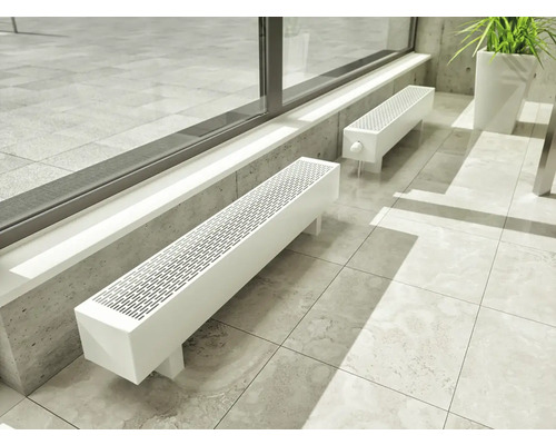 Szene mit zwei weißen Heizkörpern unter einem Fenster und einem Topf mit Grünpflanzen