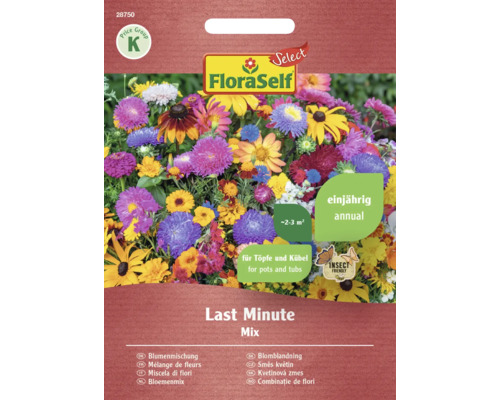 Mélange de fleurs Last Minute FloraSelf Select graines fixées graines de fleurs FloraSelf mélange de graines de fleurs Last Minute Mix pour environ deux à trois mètres carrés