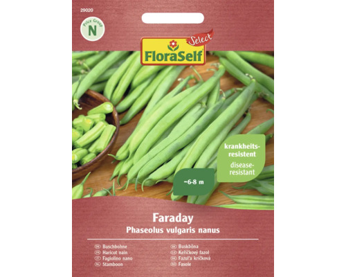 Haricots nains Faraday FloraSelf Select graines fixées semences de légumes