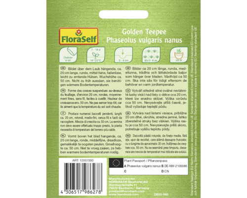 Sachet de graines de haricots nains Golden Teepee Phaseolus vulgaris