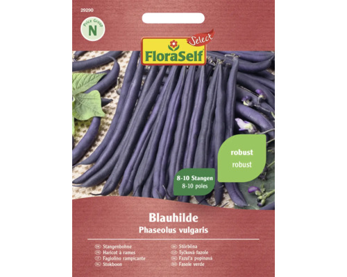 Haricots à rames Blauhilde FloraSelf Select semences non-hybrides semences de légumes
