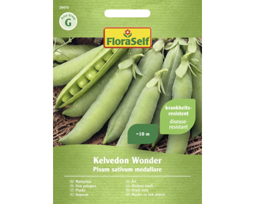 Petits pois Kelvedon Wonder FloraSelf semences non-hybrides graines de légumes