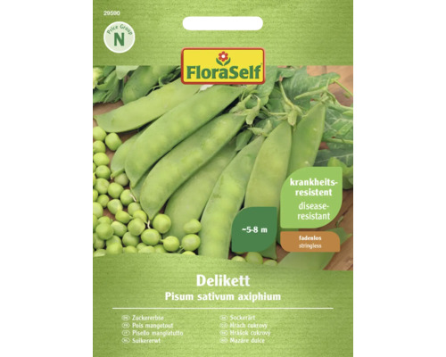 Pois mange-tout Delikett FloraSelf semences non-hybrides semences de légumes