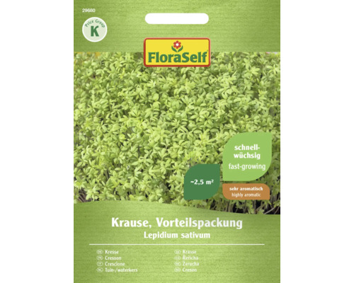 Kresse Krause FloraSelf Sprossen- und Gartenkresse