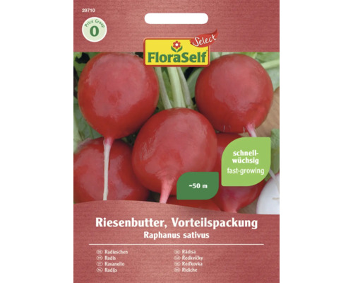 Radis 'Riesenbutter' FloraSelf Select semences non-hybrides semences de légumes Graines de radis Riesenbutter en grand conditionnement