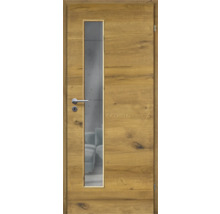 ZT Eiche Bronze Furnier Quer 61x198,5 DIN Rechts MODERN 07 Glas Graphit