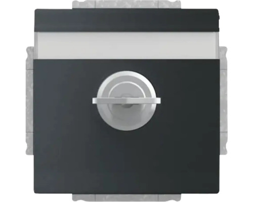 Insert de prise Busch-Jaeger 20 EUKNBSL-885-101 verrouillable avec couvercle rabattable + protection de contact renforcée Future Linear noir/mat avec serrure