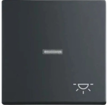 Interrupteur avec symbole de variateur