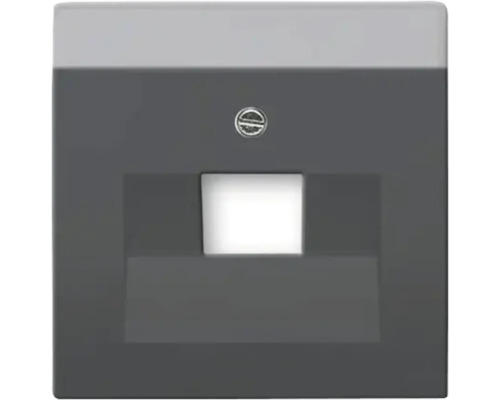 Disque central Busch Jaeger Busch-Jaeger 1803-885 couvercle simple UAE Future Linear noir/mat Disque central Busch Jaeger Busch-Jaeger 1803-885 couvercle simple UAE Future Linear noir/mat