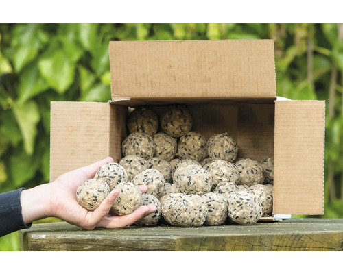 Carton de boules de graisse pour oiseaux, tenu à la main