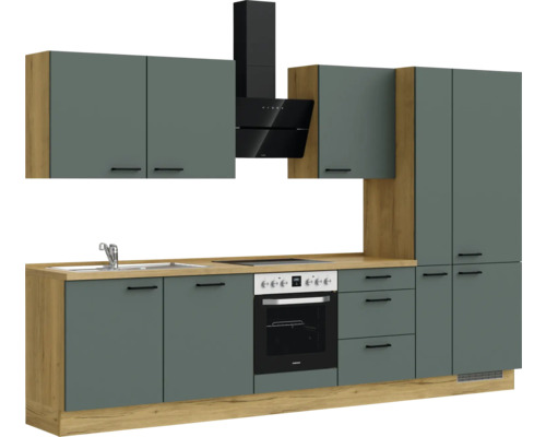 Cuisine complète avec évier, plaque de cuisson, four, hotte et armoires