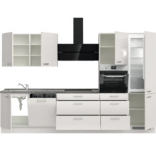 Cuisine moderne avec évier, lave-vaisselle, plaque de cuisson, hotte aspirante, four, réfrigérateur et armoires.