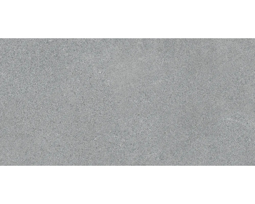 Dalle de terrasse en grès-cérame fin Phoenix gris 80 cm x 40 cm x 3 cm Carrelage de sol gris à surface mate