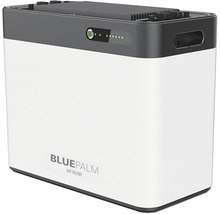 BluePalm BP-B2500 Akkumulator