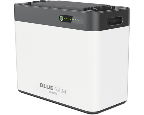 BluePalm BP-B2500 Akkumulator