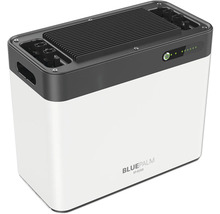 Blue Palm BP-B2500 Akku