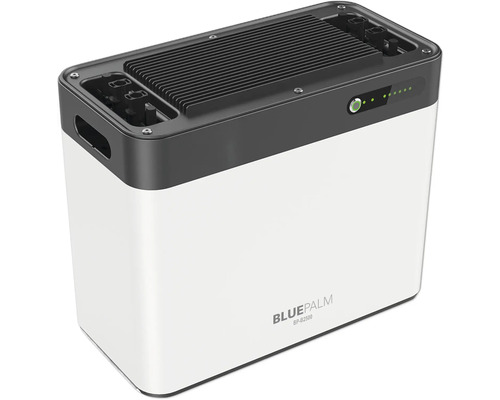 Blue Palm BP-B2500 Akku