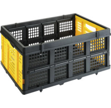 Faltbox aus Kunststoff