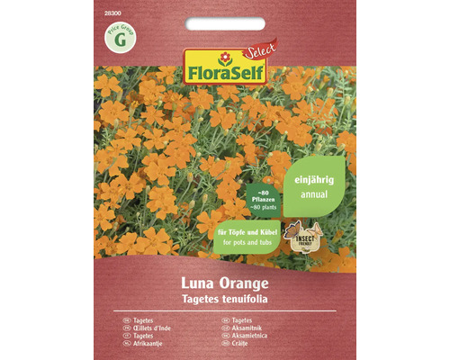 Œillets d'Inde à petites fleurs Luna Orange FloraSelf Select graines fixées graines de fleurs