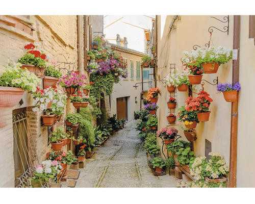 Ruelle décorative avec des fleurs dans des pots de fleurs sur les murs.